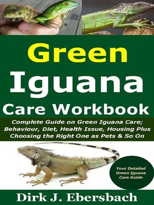 cover image of Green Iguana Care Workbook